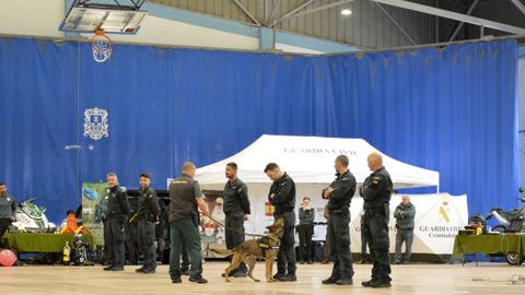 Efectivos caninos con la Guardia Civil en Pontedeume. 