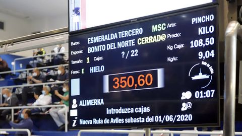 Nuevo r�cord en la rula del primer bonito del norte de la temporada