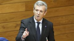 Alfonso Rueda, durante la sesin plenaria de ayer.