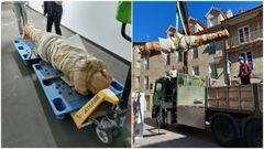 Dos imagenes del can que custodiaba el Concello de Pontevedra y ser trasladado al Museo Quiones de Len