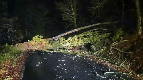 �rbol ca�do en la OU-1213 en la carretera Bande-Portugal.