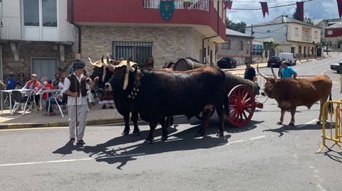 Imagen de la Feira de 1812 el año pasado.