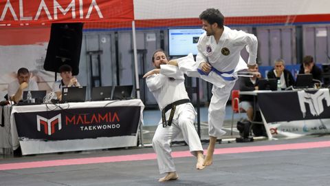 Campeonato gallego de hapkido en el Pabell�n de Barra�a
