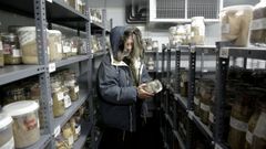 Imagen de archivo del banco de semillas donde se guardan las variedades de pimiento aut�ctonas