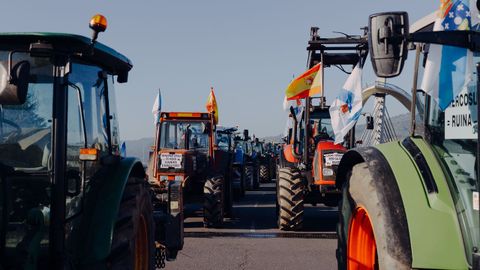 Acudieron ganaderos de varios puntos de la provincia de Ourense y de Lugo