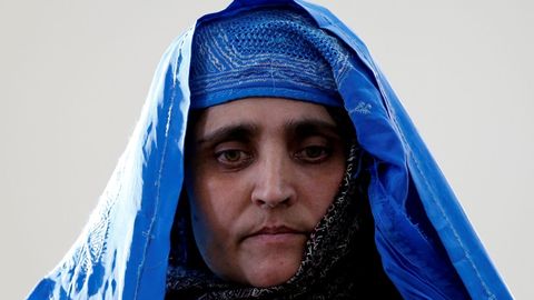 Sharbat Gula