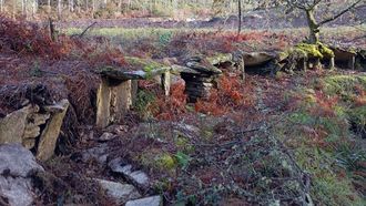 Ayer. Fue el guía de las rutas por las alvarizas que organiza el Concello de Vimianzo el que la encontró destruida. La continuada acción de los maderistas por la zona le hizo temer lo peor. Los daños fueron documentados por Apatrigal