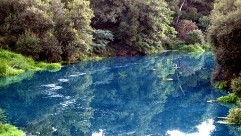 Aguas del r&iacute;o Umia de color turquesa a consecuencia del vertido contaminante de Brenntag.