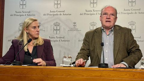 Rueda de prensa de los diputados del PP Jos� Cuervas-Mons y Susana Fern�ndez sobre Vipasa