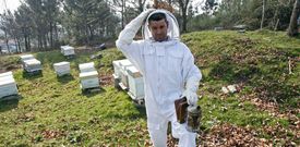 Los 425 kilos de miel producidos por las abejas de David Rego el pasado a�o son de casta�o, eucalipto, silva y brezo. 