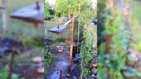 Un bimbastro constru�do recentemente polos veci�os de Cinsa 