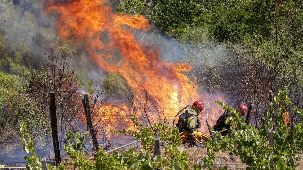 Los incendios quemaron más de la mitad de la superficie de diez municipios gallegos, en dos de ellos, hasta el 80 %