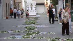 �Mira aqu� las fotos del Sant�simo de Palmeira!