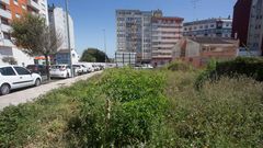Solar entre la avenida da Coru�a y Angelo Colocci que ha sido advertido para que se limpie