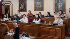 Mar�a Reigosa, votando con el PP en el pleno de Lugo del mes de febrero