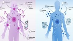 Ilustraci�n de c�mo las enfermedades act�an de forma distinta seg�n el sexo