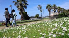El cielo alternar�, como ya pas� esta semana, los momentos de nubes con los de claros.