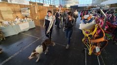 Sal&oacute;n de Mascotas de Pontevedra