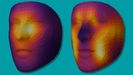 La imagen de la izquierda muestra las caracter�sticas m�s importantes para las predicciones de FAHR-FaceSurvival sobre la supervivencia al c�ncer, mientras que la imagen de la derecha muestra las caracter�sticas m�s importantes para las estimaciones de edad biol�gica de FAHR-FaceAge. Las �reas resaltadas en amarillo fueron las que mayor influencia tuvieron en las predicciones de cada modelo.