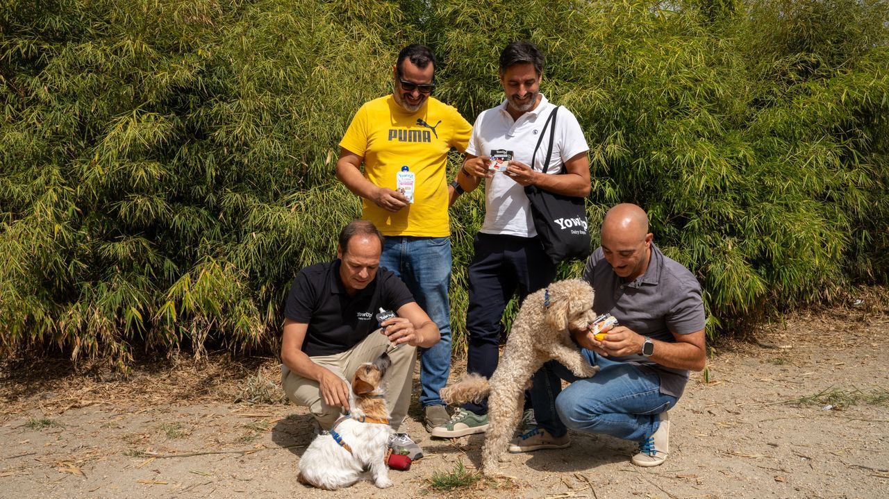 «Hot dog», el helado para perros creado en Galicia que triunfa en Estados Unidos