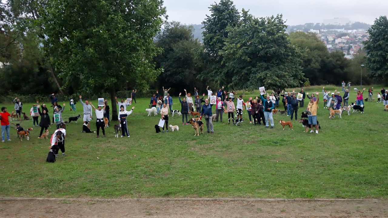 Familias con perros rechazan el modelo de «microparques» caninos en Vigo