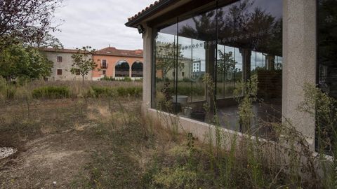 En las zonas verdes prolifera la maleza