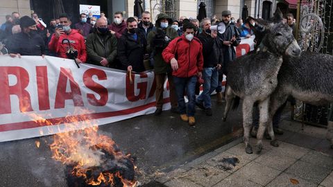 Manifestaci�n de Asturias Ganadera en Oviedo