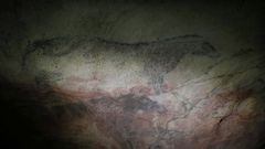 La cueva de Tito Bustillo, ubicada en el concejo asturiano de Ribadesella, considerada uno de los referentes mundiales de arte rupestre y catalogada como Patrimonio de la Humanidad, conmemora este mes el 50 aniversario de su descubrimiento. La caverna conserva doce conjuntos art�sticos que hoy se interpretan como uno solo y en el que se diferencian dos etapas: una premagdaleniense, que comprende los conjuntos localizados en la galer�a larga junto con las primeras fases del panel principal, y otra magdaleniense, a la que pertenecen los conjuntos pr�ximos a la entrada original y las �ltimas fases del panel principal