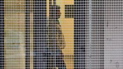 Uno de los detenidos, dentro de los juzgados de Cangas para prestar declaraci�n.