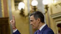 El presidente del Gobierno, Pedro S�nchez, en el pleno del Congreso de los Diputados.