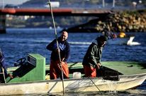 En la fotograf�a, mariscadores en As P�as realizando tareas de traslado de almeja.