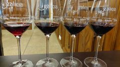 Las elecciones est�n pendientes en todas las denominaciones del vino gallegas