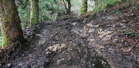 Aspecto que luc�a ayer una parte del camino que discurre paralelo al afluente del L�rez, cercano al puente medieval de Almofrei. 