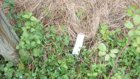 Mascarilla en la Senda del Oso