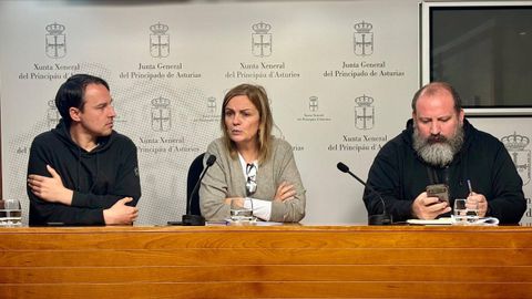 Iv�n Llera, delegado de personal de Videoreport Asturias; Covadonga Tom�, diputada del Grupo Mixto en la Junta General del Principado; y Eduardo Sariego, delegado de personal de Videoreport Asturias.