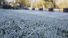 La helada tambi�n se dej� notar en el parque de Portovello en Ourense