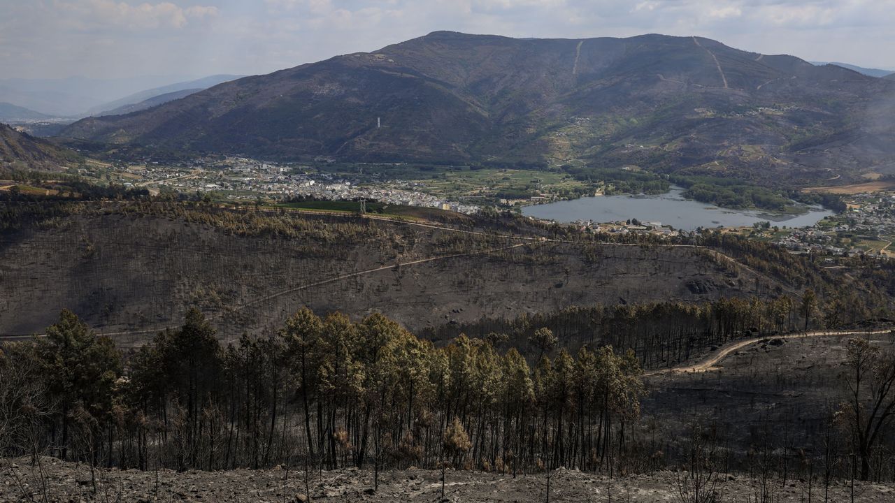 Los reyes visitarán el jueves las zonas afectadas por los incendios en Galicia