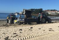 La retirada de las algas que se acumulan en Silgar en �poca de mareas vivas es diaria en el verano. 