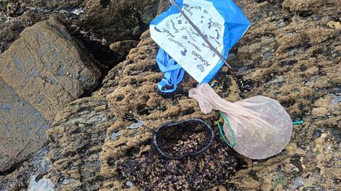 Percebe decomisado en la zona de la Torre, en una imagen de archivo