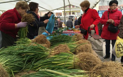 La campaa de la huerta ha comenzado y hay ms uso de los carns de fitosanitarios. 