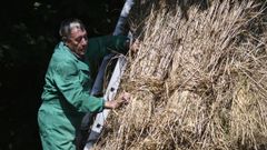 Castro de Rei deixa a meda preparada para asa XXI Festa da Malla