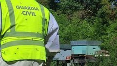 Algunas de las colmenas que fueron recuperadas por los agentes de la Guardia Civil