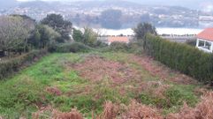 La parcela donde se crear� el bosque comestible est� en la ladera de Canido y tiene una superficie de mil metros cuadrados.