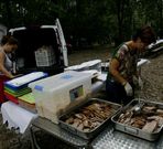 El campo de la fiesta en Santa Cruz es un escenario m�ltiple que alberga tanto el altar para la misa como las mesas de la comida.