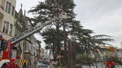 Los bomberos de Ferrol quitaron ramas cadas de un rbol en la plaza de Amboage este martes.
