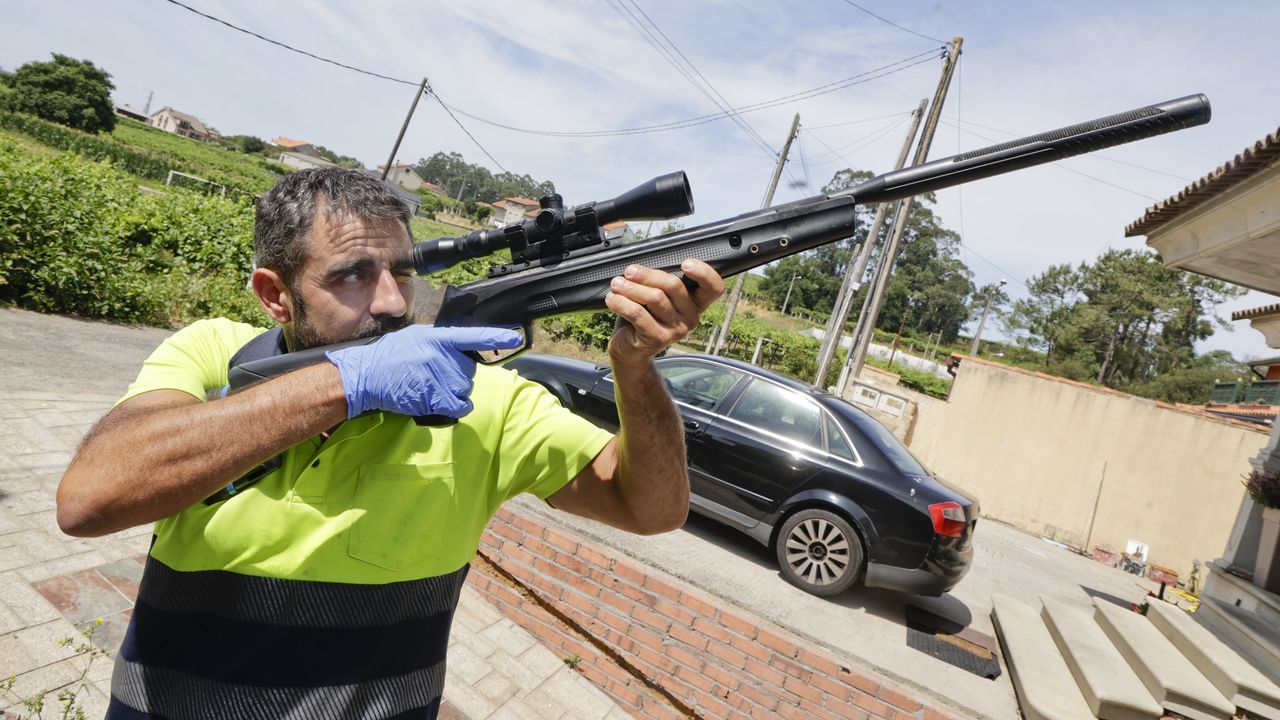 O Salnés retiró 9 nidos de velutina al día en los últimos dos meses