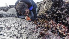 Abri� la zona percebeira de la Punta da Barca de Mux�a