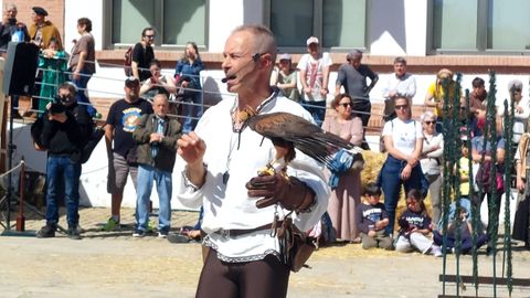 En la plaza de San Antonio se ofrecen exhibiciones de cetrer�a
