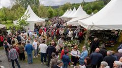 Ambiente na Feira da Plantaci�n, nunha das �ltimas edici�ns