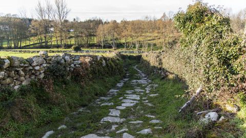 Un trecho del camino en las cercanas del lugar de Noguedo